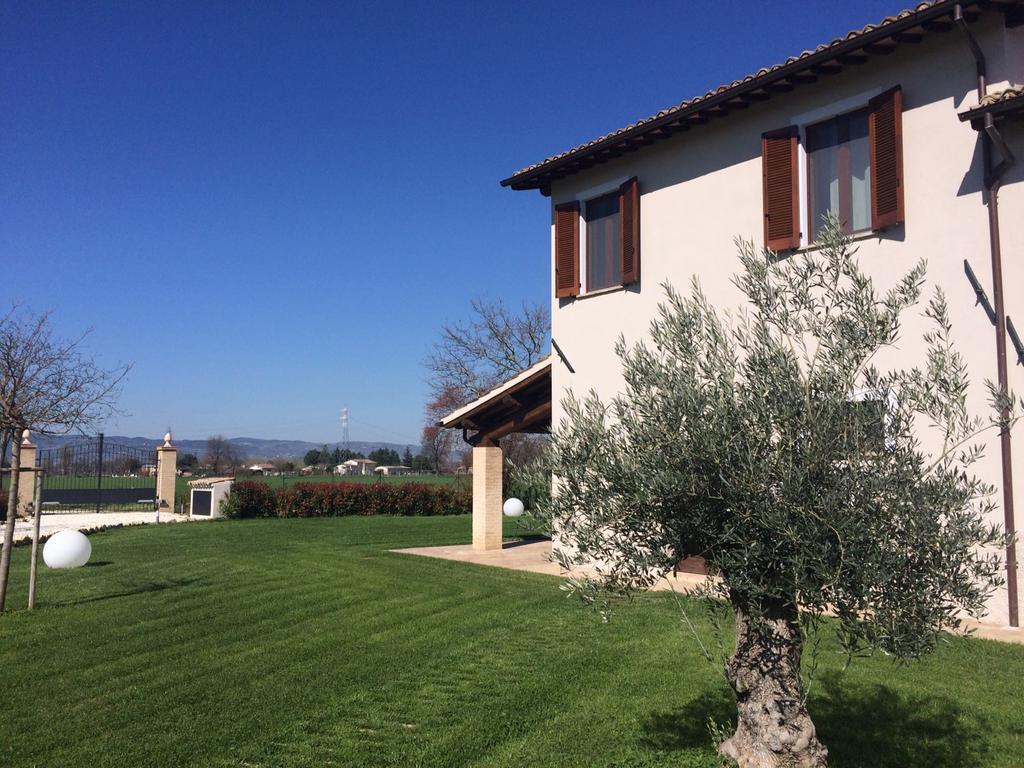 Podere Le Volte degli Angeli Spello Exterior foto